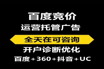 百度竞价推广案例：行业领军者成长故事